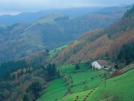 Parque Natural de Goierri